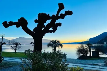 Villa Casa RosaMaria 4, Maison Romantique au Lago Maggiore avec Jardin - Photo 27