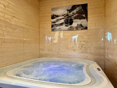 Luxe et sérénité : jacuzzi, sauna, piscine chauffée, home-cinéma et plus près du Mans - Photo 3