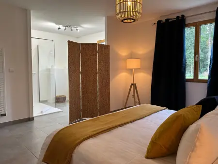 Luxe et sérénité : jacuzzi, sauna, piscine chauffée, home-cinéma et plus près du Mans - Photo 30