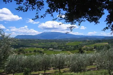 Ferienhaus in Vaison-la-Romaine, Maison à Vaison-la-Romaine avec Piscine - Photo 20