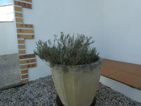 Maison spacieuse avec jardin clos, animaux acceptés, près des plages - Photo 28