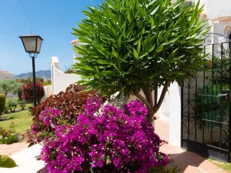 Las Golondrinas, Maison 4 personnes à Nerja - Photo 14