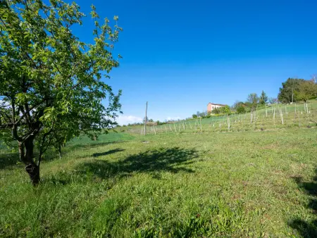 Raggio di Sole, Maison 2 personnes à Pontestura - Photo 31
