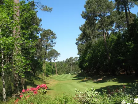 Villa Biscarrosse Golf, 8 pers, piscine chauffée, jardin - Photo 18
