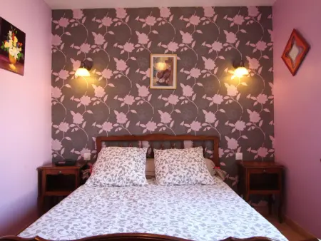 Charmante maison en pierre, jardin clos, animaux admis - Photo 13