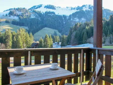 Andromède 6, Appartement 4 personnes à Moléson sur Gruyères - Photo 9
