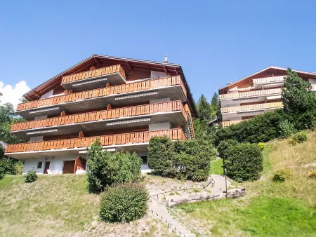 Dent Favre A 5, Appartement 4 personnes à Ovronnaz - Photo 23