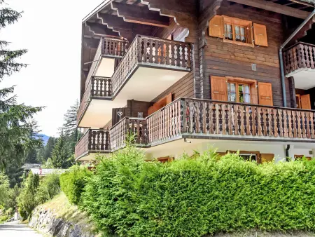 Colline 1, Appartement 4 personnes à Champex - Photo 20