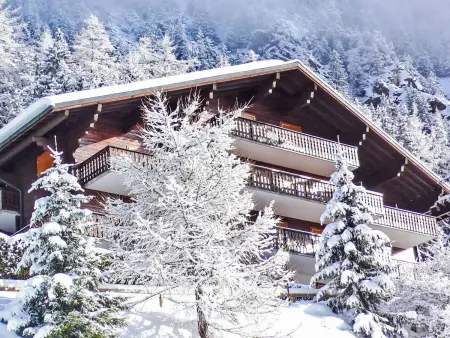 Colline 1, Appartement 4 personnes à Champex - Photo 25