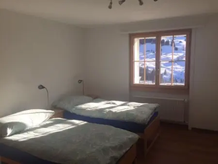 Lucie, Appartement 2 personnes à Adelboden - Photo 4