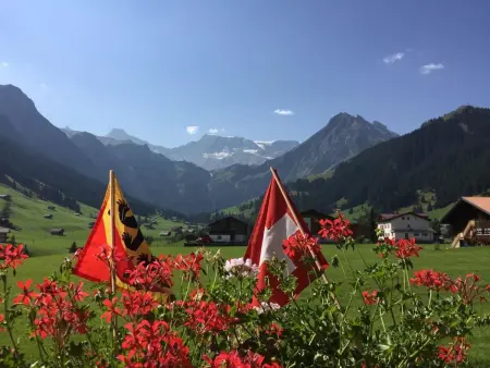 Aloa, Appartement 4 personnes à Adelboden - Photo 7