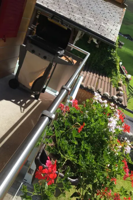 Aloa, Appartement 4 personnes à Adelboden - Photo 8