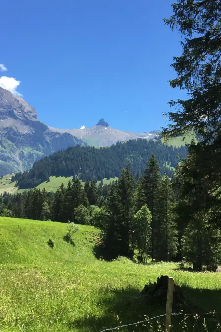 Aloa, Appartement 4 personnes à Adelboden - Photo 24