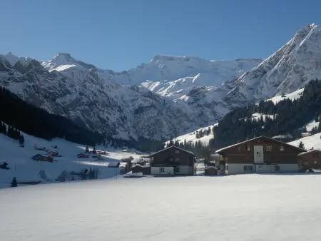Aloa, Appartement 4 personnes à Adelboden - Photo 31