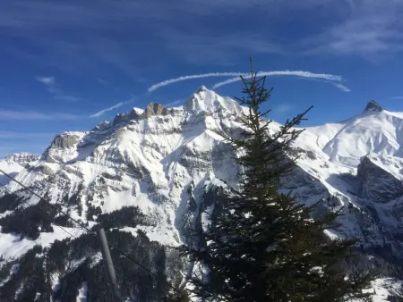 Aloa, Appartement 4 personnes à Adelboden - Photo 34