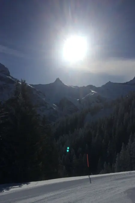 Aloa, Appartement 4 personnes à Adelboden - Photo 35