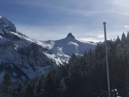 Aloa, Appartement 4 personnes à Adelboden - Photo 36