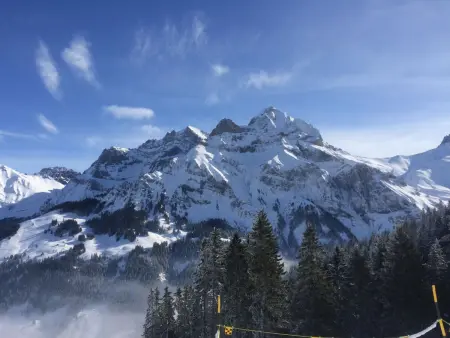 Aloa, Appartement 4 personnes à Adelboden - Photo 38