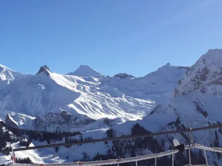 Aloa, Appartement 4 personnes à Adelboden - Photo 42