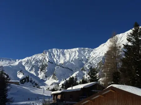 Aloa, Appartement 4 personnes à Adelboden - Photo 45