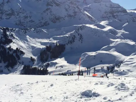 Aloa, Appartement 4 personnes à Adelboden - Photo 46
