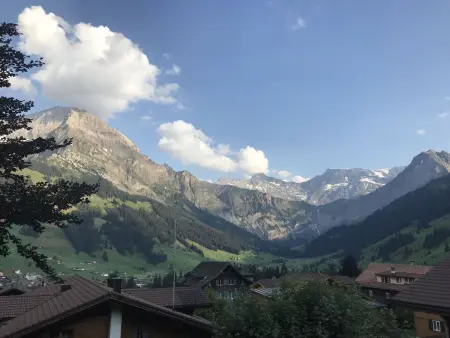 Haldematt, Appartement 6 personnes à Adelboden - Photo 4