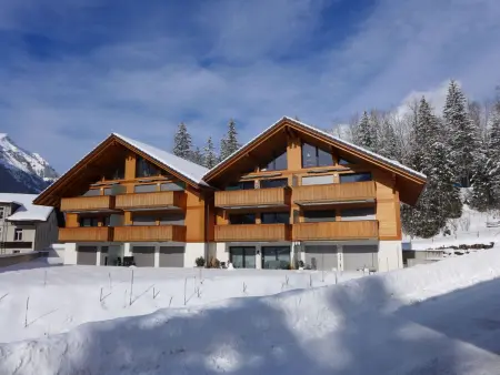 Terrasse, Appartement 4 personnes à Kandersteg - Photo 28