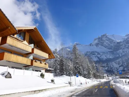 Verena, Appartement 4 personnes à Kandersteg - Photo 1