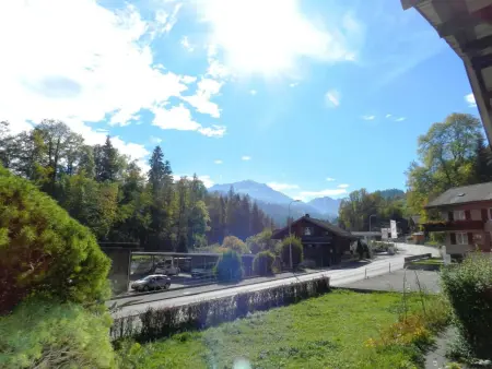 Studio Poli, Appartement 2 personnes à Zweisimmen - Photo 7