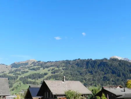 Studio Poli, Appartement 2 personnes à Zweisimmen - Photo 9