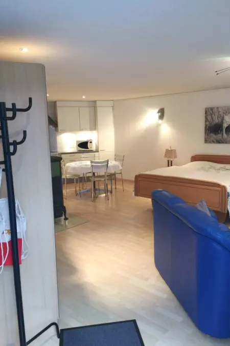 Studio Poli, Appartement 2 personnes à Zweisimmen - Photo 17