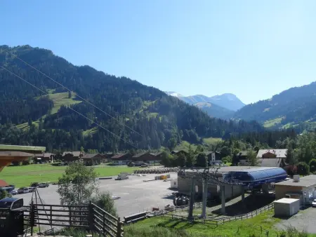 Kari's Schüür, Appartement 4 personnes à Lenk - Photo 1
