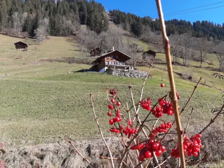 Kari's Schüür, Appartement 4 personnes à Lenk - Photo 6