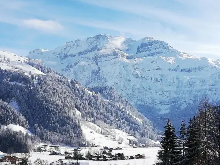 Kari's Schüür, Appartement 4 personnes à Lenk - Photo 8