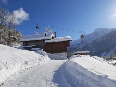 Kari's Schüür, Appartement 4 personnes à Lenk - Photo 10