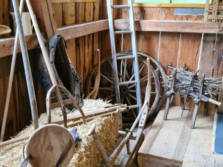 Kari's Schüür, Appartement 4 personnes à Lenk - Photo 28