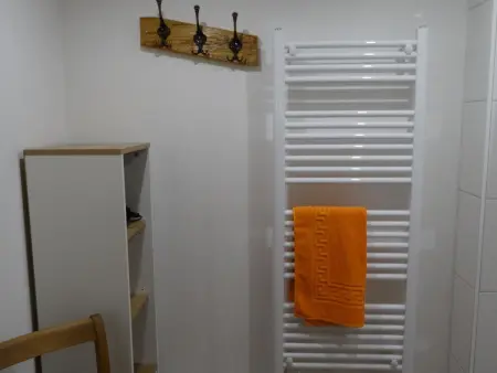 Kari's Schüür, Appartement 4 personnes à Lenk - Photo 50