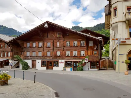 Marie-Soleil Sud, Appartement 8 personnes à Saanen - Photo 31