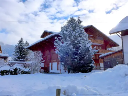 Marie-Soleil, Appartement 12 personnes à Saanen - Photo 1