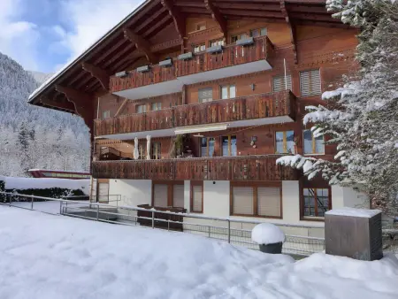 Marie-Soleil, Appartement 12 personnes à Saanen - Photo 40