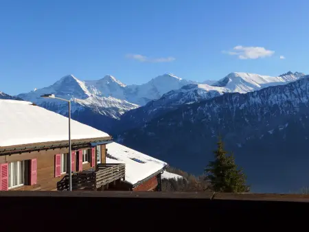 Chalet Burgfeld, Appartement 6 personnes à Beatenberg - Photo 25