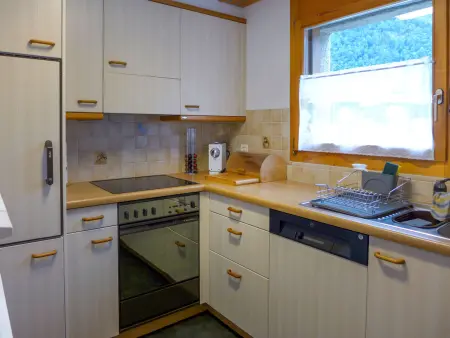 Allmi, Appartement 4 personnes à Meiringen - Photo 5
