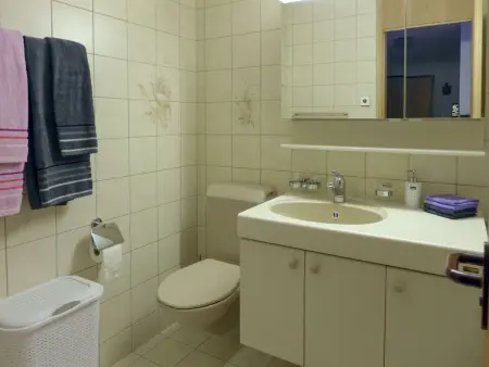 Allmi, Appartement 4 personnes à Meiringen - Photo 13