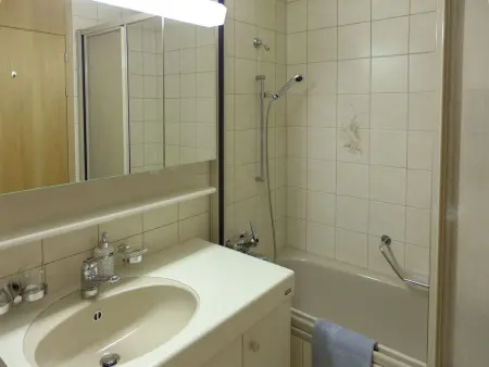 Allmi, Appartement 4 personnes à Meiringen - Photo 14