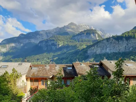 Allmi, Appartement 4 personnes à Meiringen - Photo 22