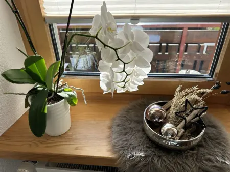 Bergfreude, Appartement 5 personnes à Saas Grund - Photo 58
