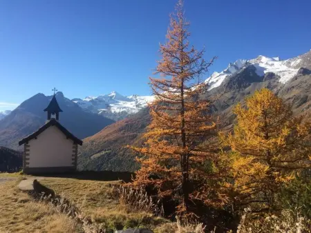 Bergfreude, Appartement 5 personnes à Saas Grund - Photo 87
