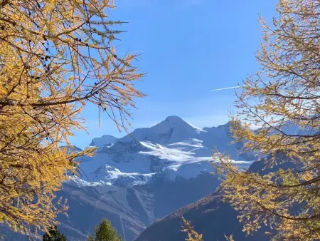 Bergfreude, Appartement 5 personnes à Saas Grund - Photo 88