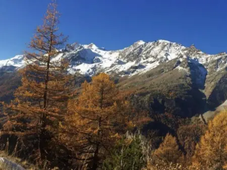 Bergfreude, Appartement 5 personnes à Saas Grund - Photo 93