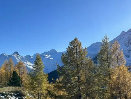Enzian, Appartement 5 personnes à Saas Grund - Photo 1